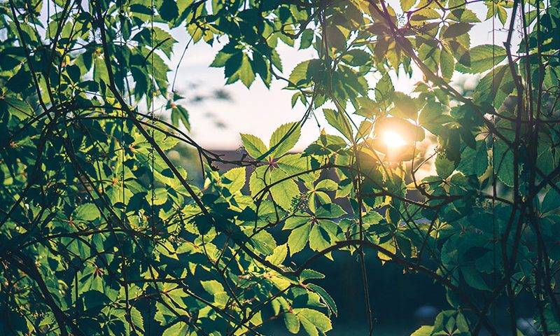 Como Vencer A Depressão