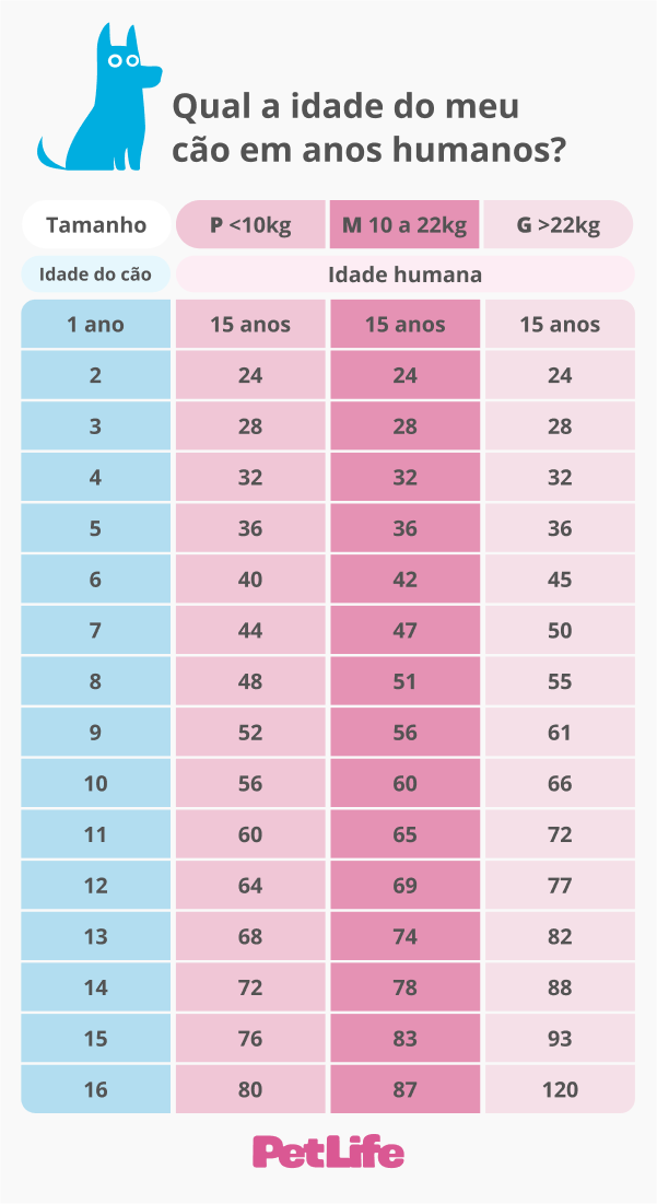 raças de cachorro que vivem mais tempo em anos humanos