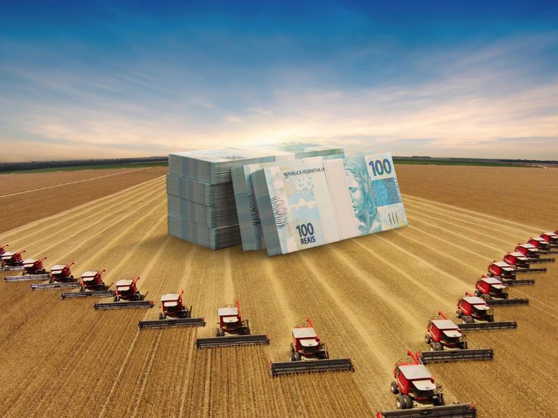 Análise de Mercado: Valorização do Hectare no Brasil e Oportunidades