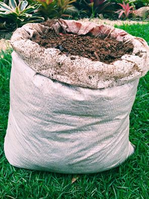 PNCF Jovem: Condições Especiais para Novos Agricultores