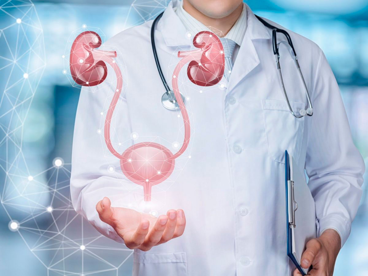 valor exame urologista unimed