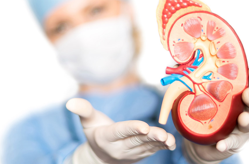 quanto custa ir no urologista