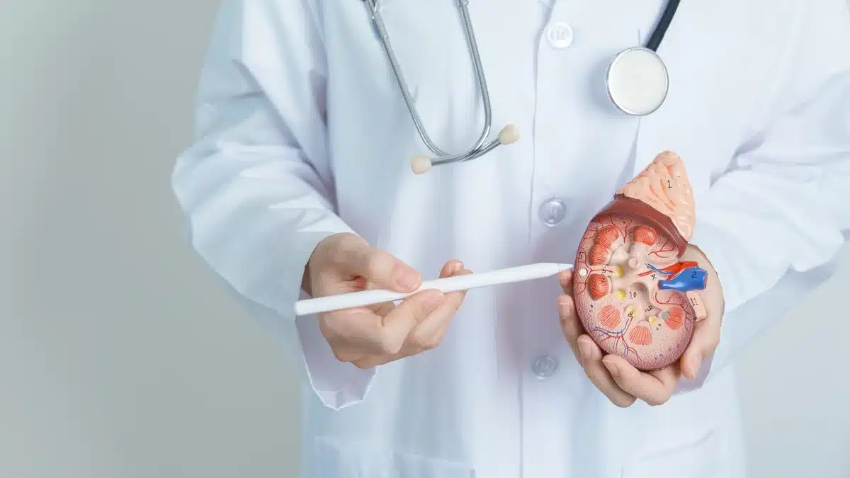 quanto custa ir no urologista