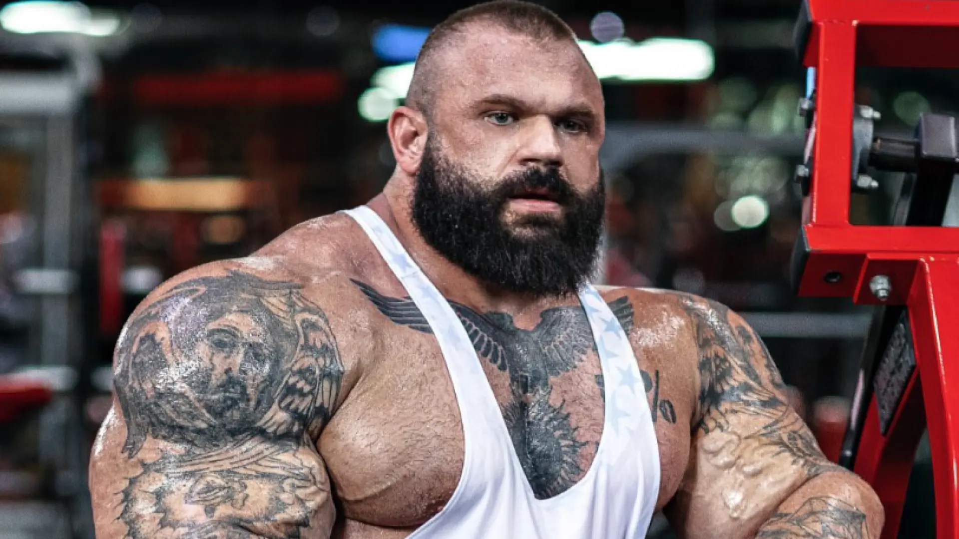 diferença entre consumia e consumiu