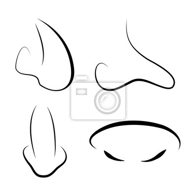 Rinomodelação vs. Contorno de Nariz: Qual a Melhor Opção para Você?