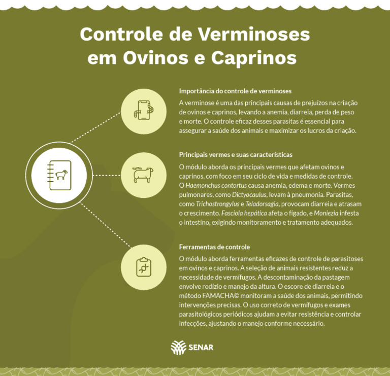 estratégias de desverminação seletiva em rebanhos ovinos
