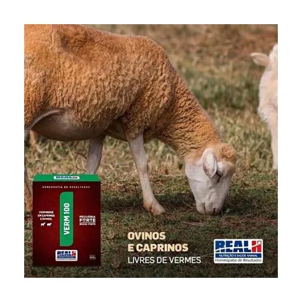 estratégias de desverminação seletiva em rebanhos ovinos