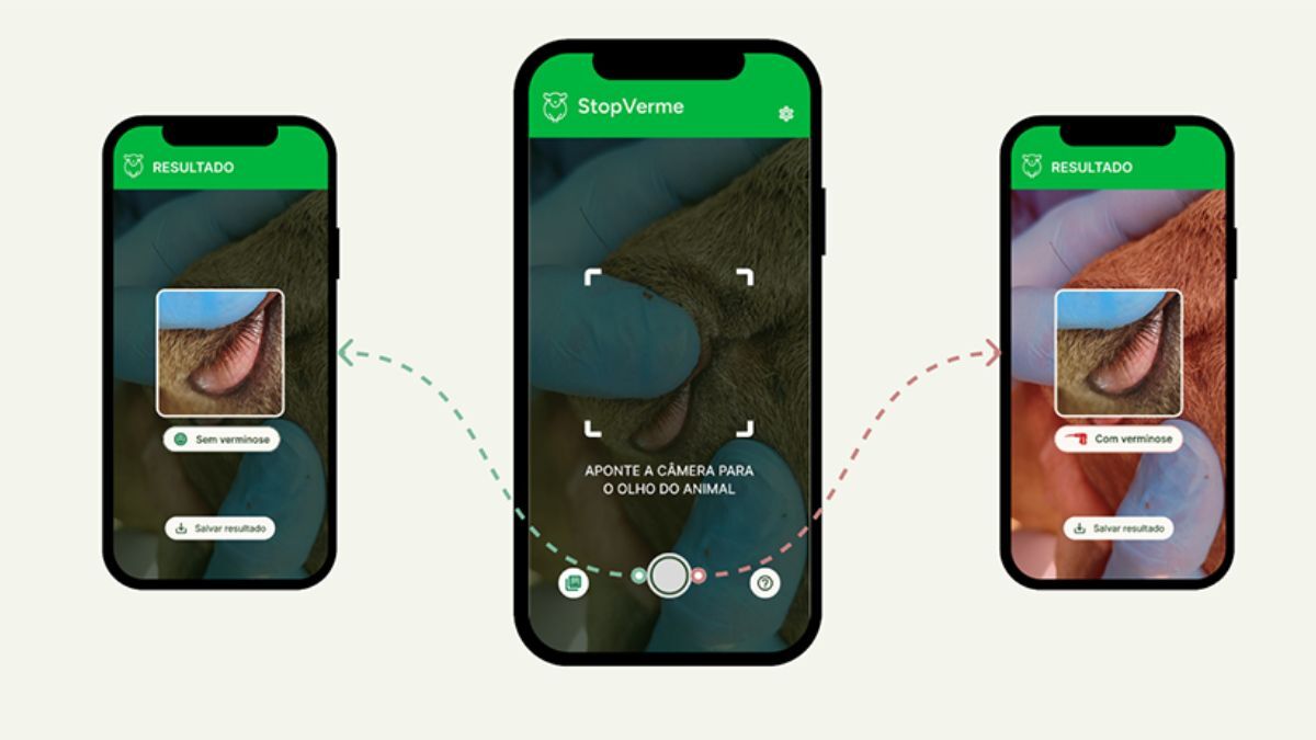 estratégias de desverminação seletiva em rebanhos ovinos