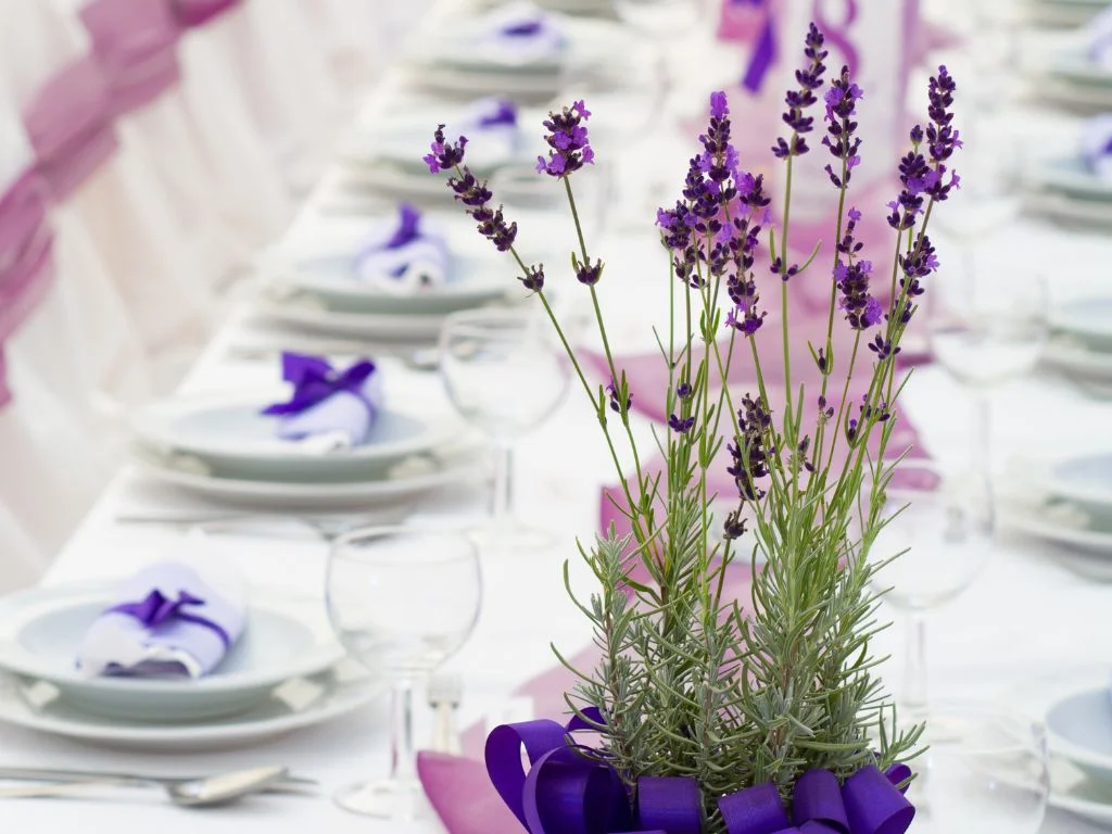 Combinações e Aplicações
2. Lavanda: A Cor da Serenidade e Elegância para seu Dia a Dia
3. Guia Completo: Como Combinar a Cor Lavanda na Moda e Decoração
4. A Psicologia da Cor Lavanda: Tranquilidade e Sofisticação
5. Tendências de Cores: Por que o Lavanda é a Escolha Perfeita para 2026