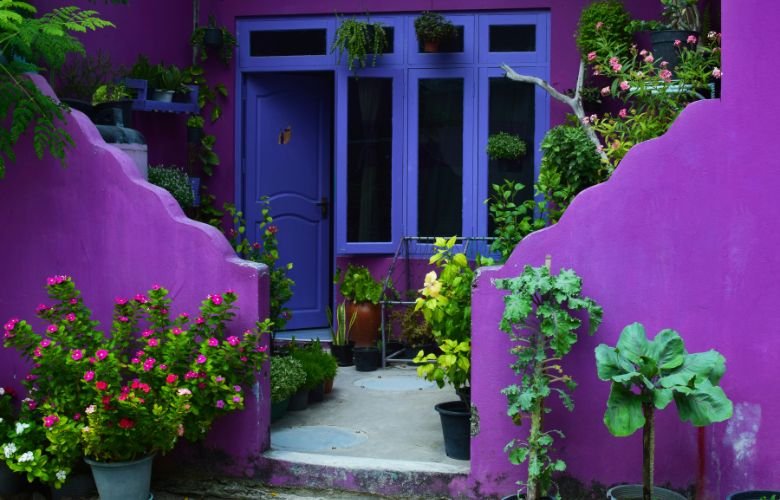 Combinações e Aplicações
2. Lavanda: A Cor da Serenidade e Elegância para seu Dia a Dia
3. Guia Completo: Como Combinar a Cor Lavanda na Moda e Decoração
4. A Psicologia da Cor Lavanda: Tranquilidade e Sofisticação
5. Tendências de Cores: Por que o Lavanda é a Escolha Perfeita para 2026