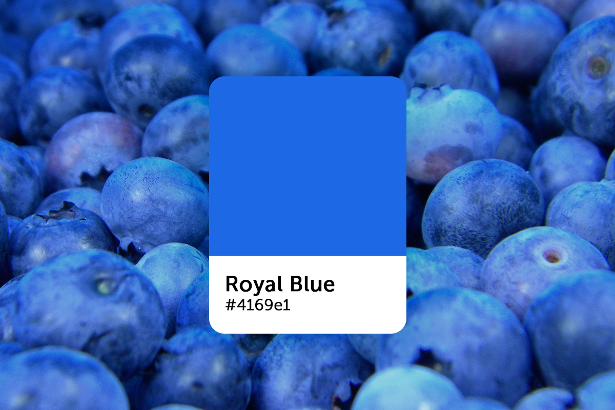 azul royal em design gráfico