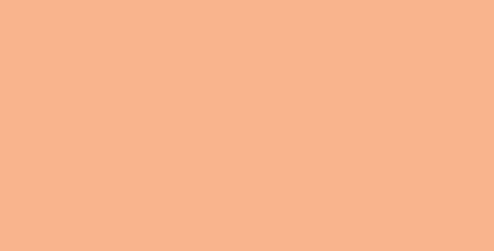 cores com a letra p nomes