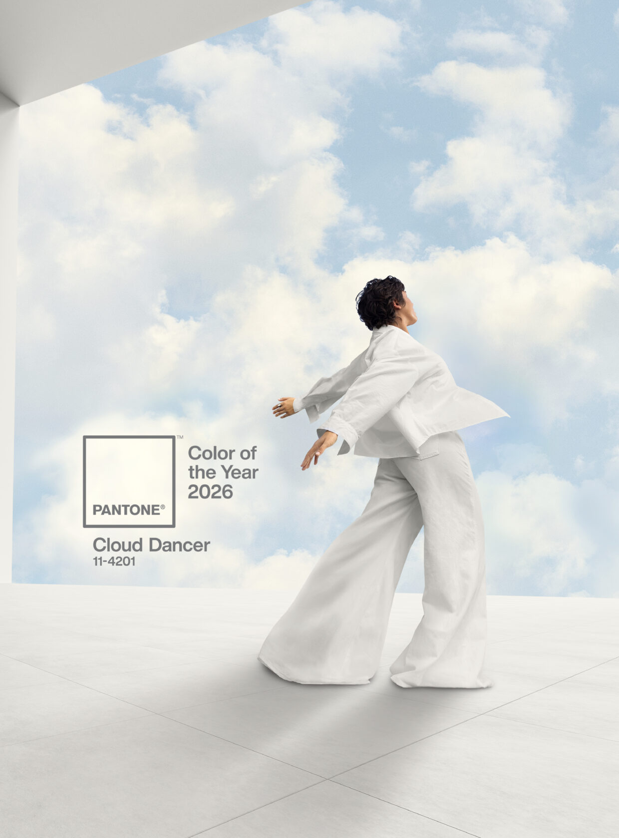 paleta de cores 2026