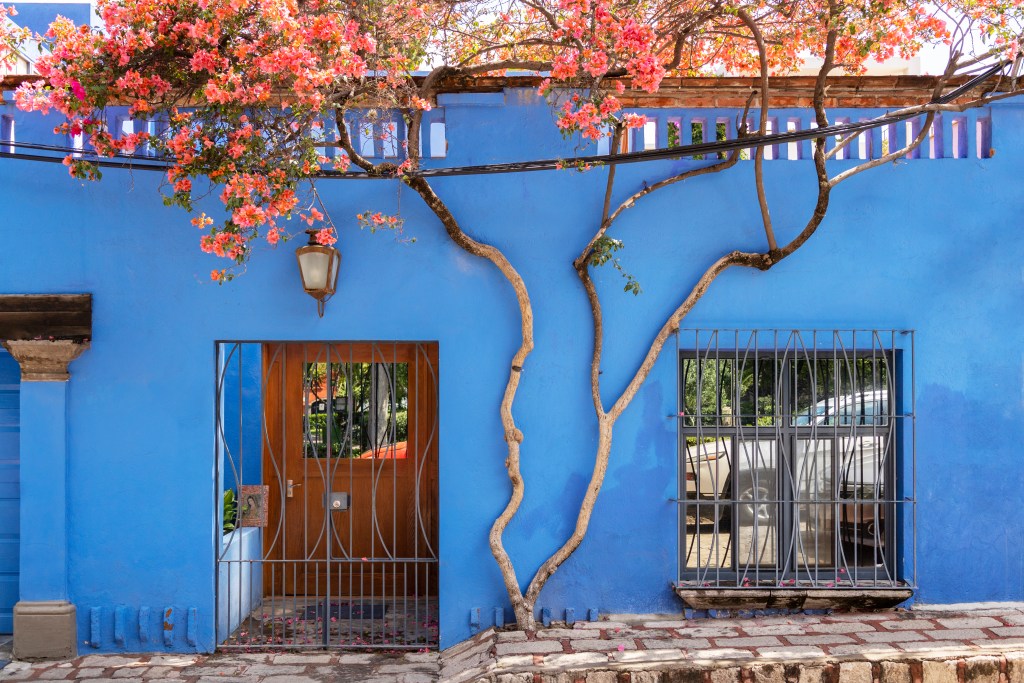 paleta de cores área externa
