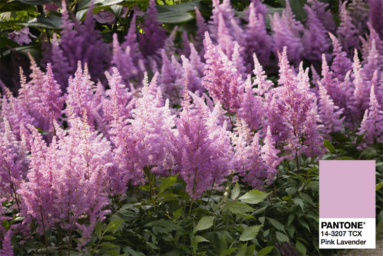 Amarelo Ocre e Tons Sorbet: Como Combinar as Cores Chave do Verão 2018