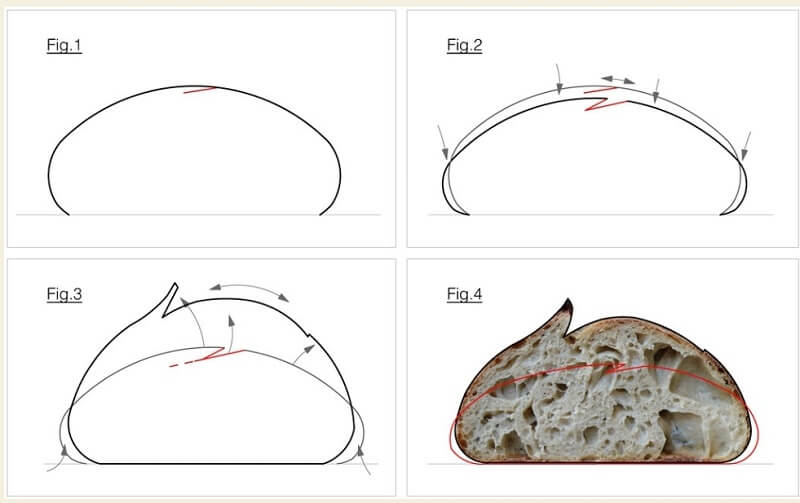 Cortador De Pão De Forma