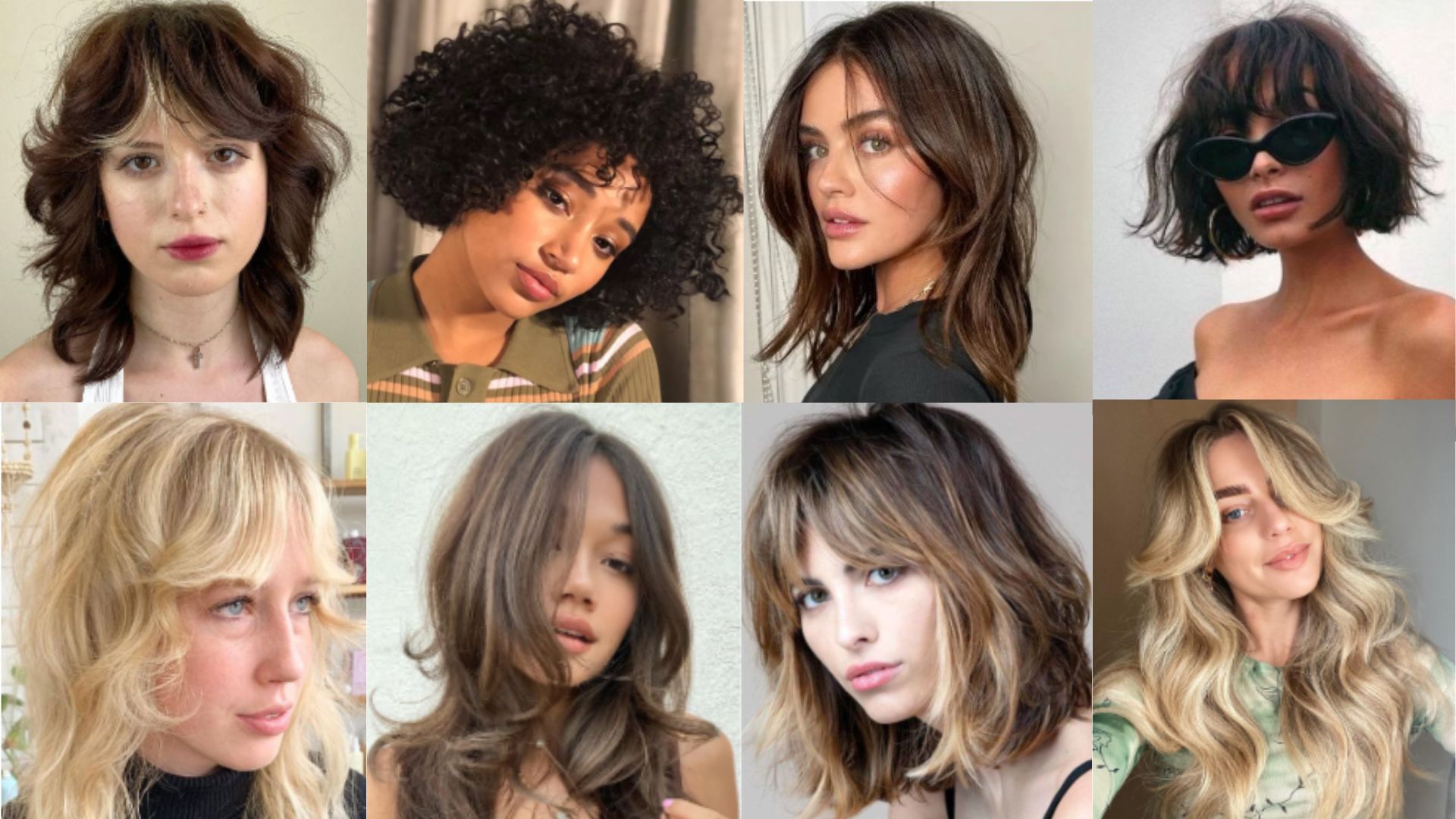 butterfly cut vs kitty cut qual escolher