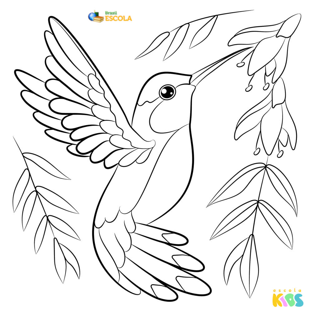 desenho Corujita para pintar