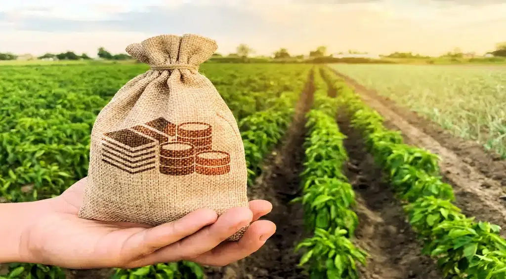 crédito para inovação rural