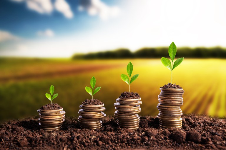 Guia Completo do Pronaf Mais Alimentos: Taxas e Benefícios para o Pequeno Produtor