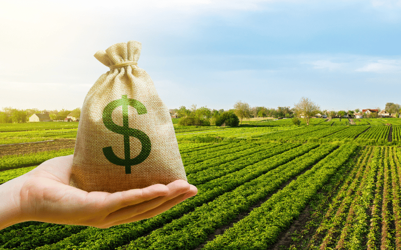 FNE Inovação: Oportunidades de Financiamento para o Agronegócio no Nordeste