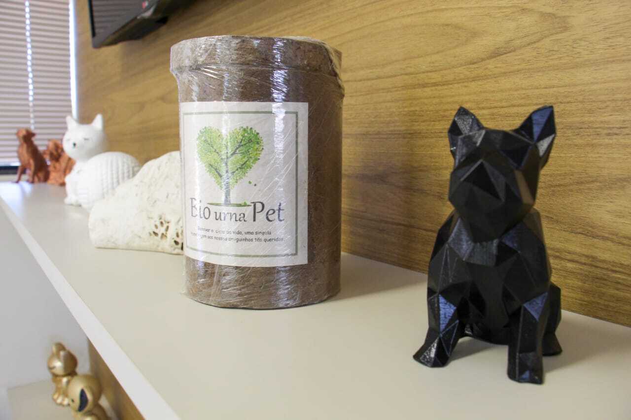 O que fazer com as cinzas do seu pet após a cremação
