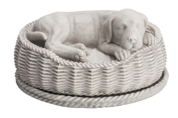 Planejamento funerário para pets: Opções e custos