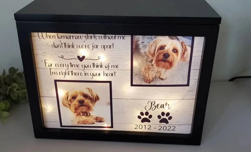 Como escolher a urna ideal para as cinzas do seu pet