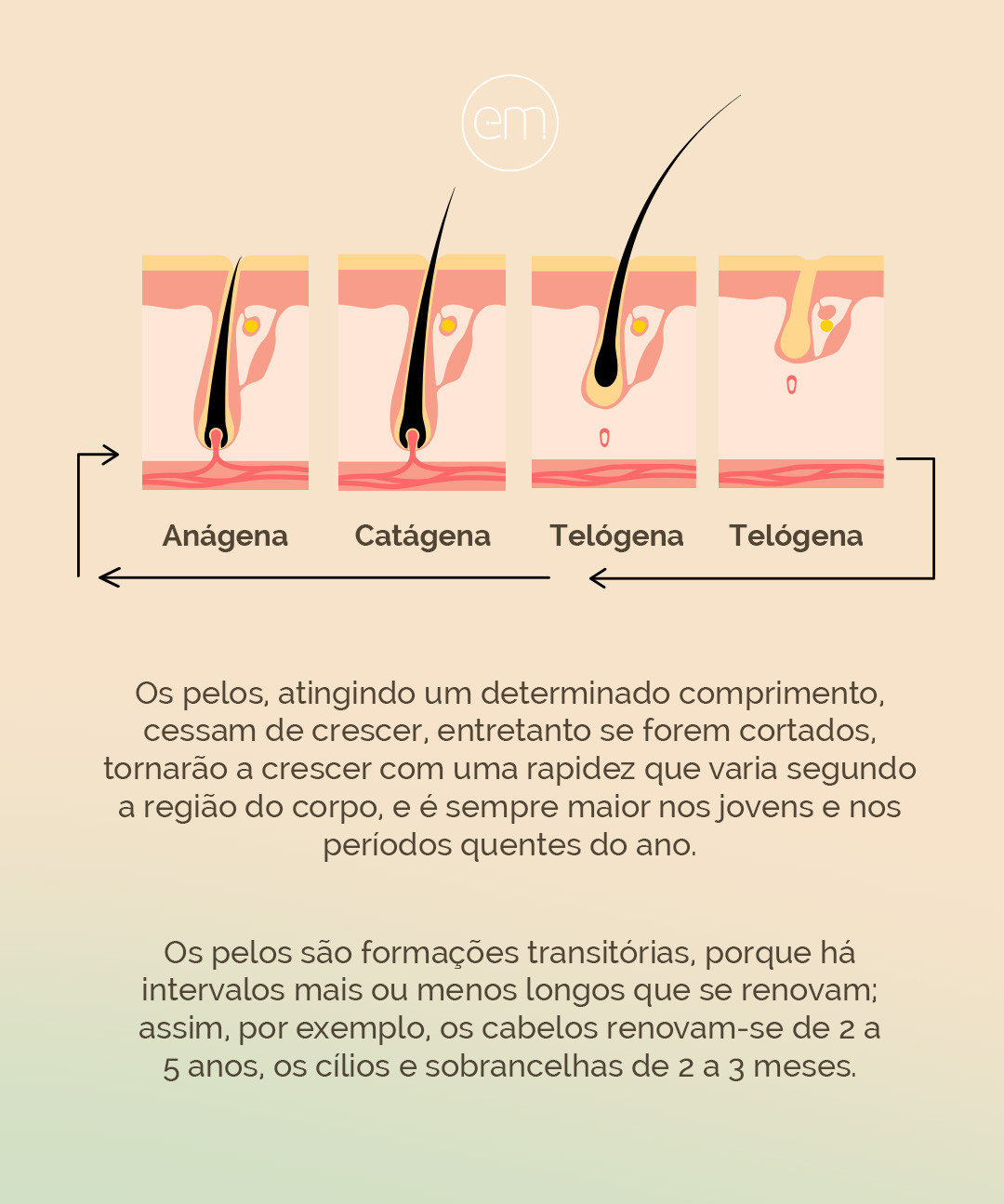 Crescimento Das Sobrancelhas