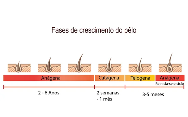 Óleo de Rícino nas Sobrancelhas: Mitos, Verdades e Como Aplicar Corretamente