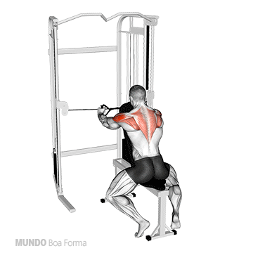 voador invertido