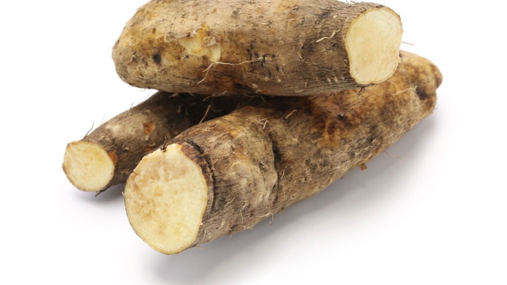 preparo do solo para inhame