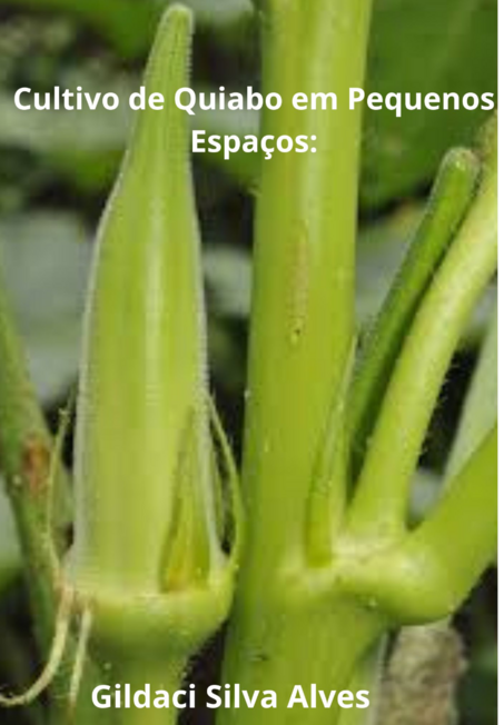 cultivo de quiabo para iniciantes