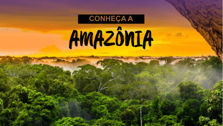 A Amazônia em Números: Extensão