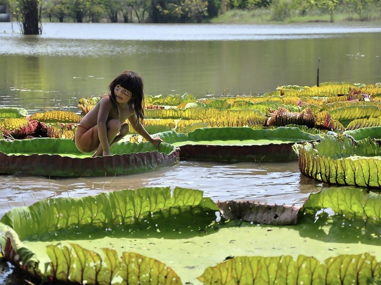 Água e Biodiversidade