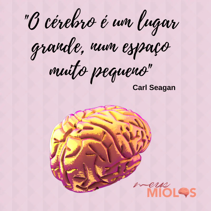 curiosidades sobre o cérebro humano