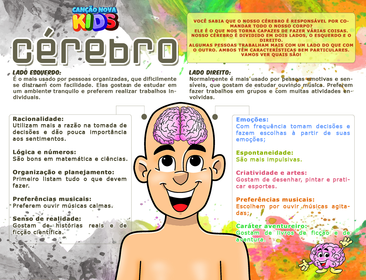 curiosidades sobre o cérebro humano