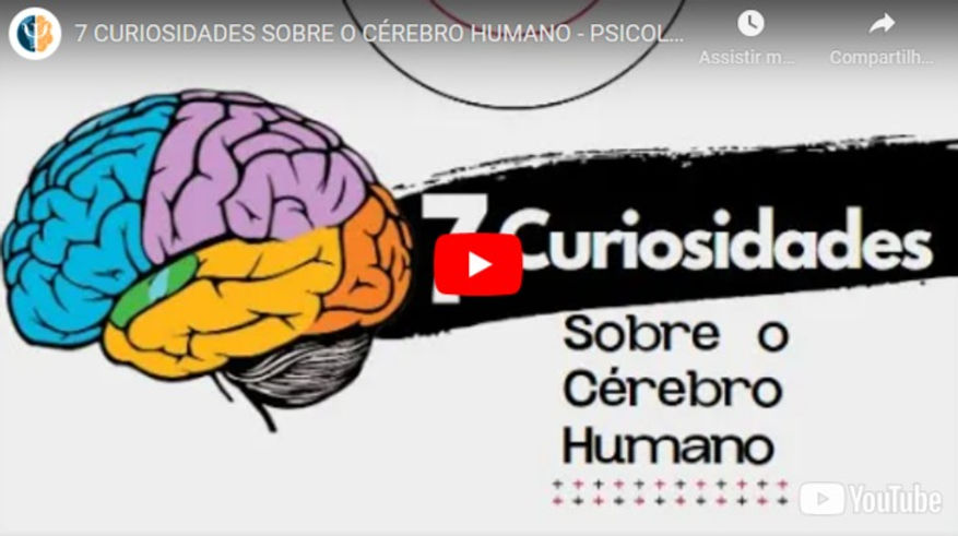 curiosidades sobre o cérebro humano