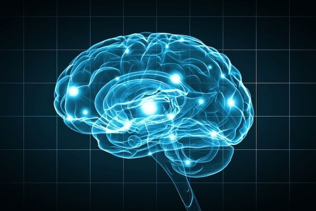 curiosidades sobre o cérebro humano