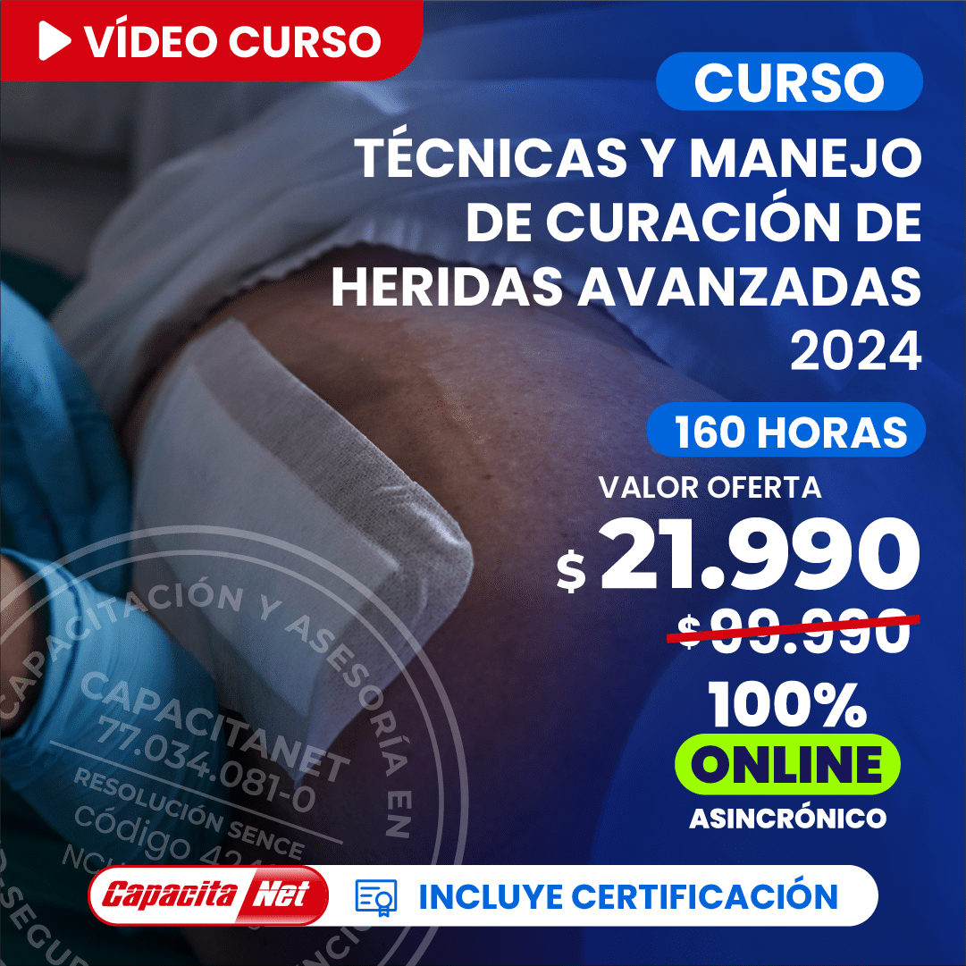 Cursos de 160 horas gratuitos: Guia completo de instituições e áreas