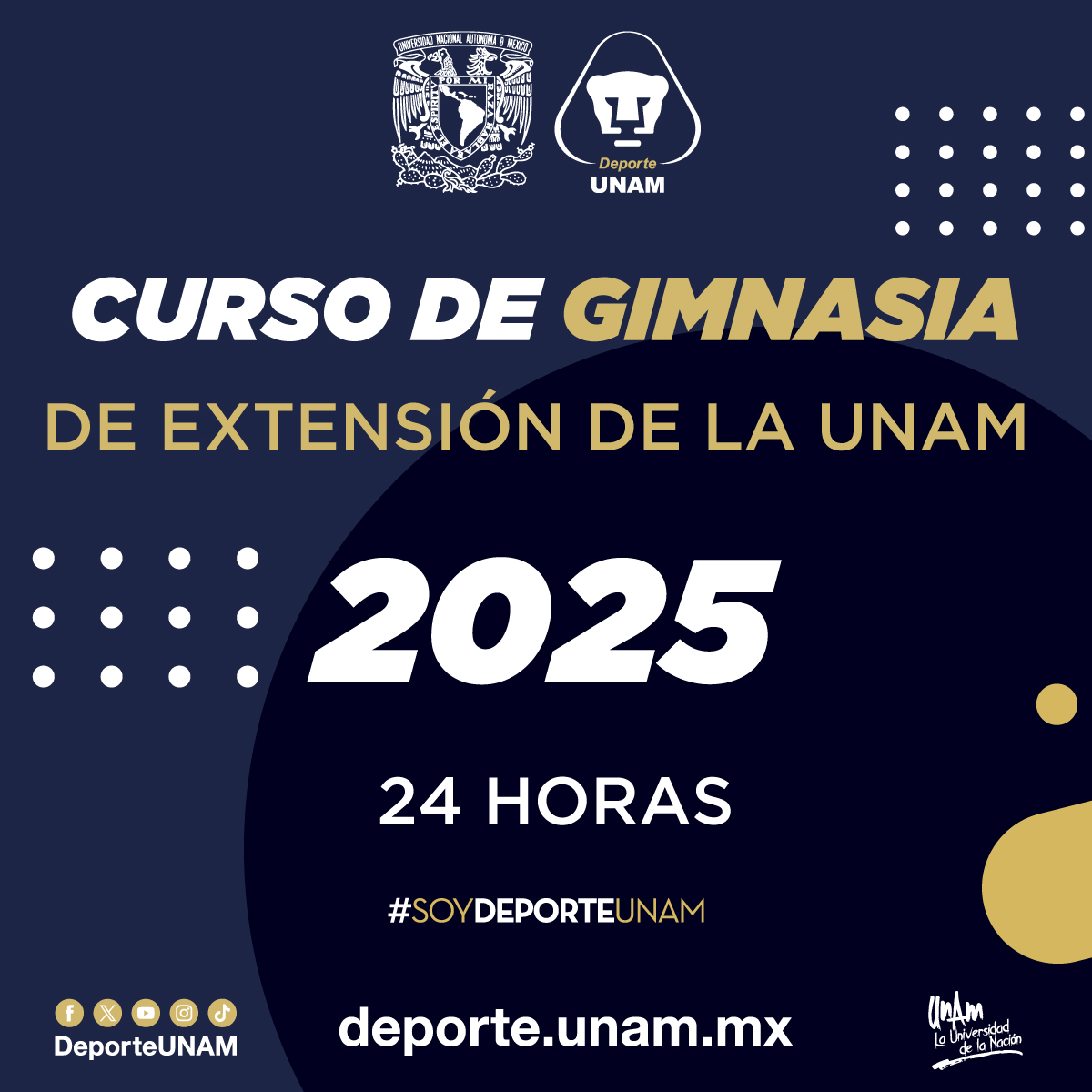 Guia completo de cursos de tecnologia no Cursos 24 Horas