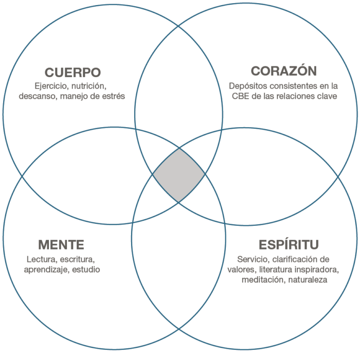 datas turmas 7 hábitos