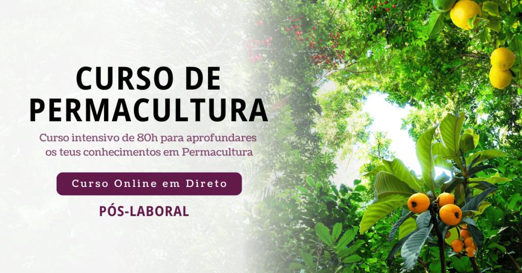 onde fazer cursos de 80 horas para faculdade