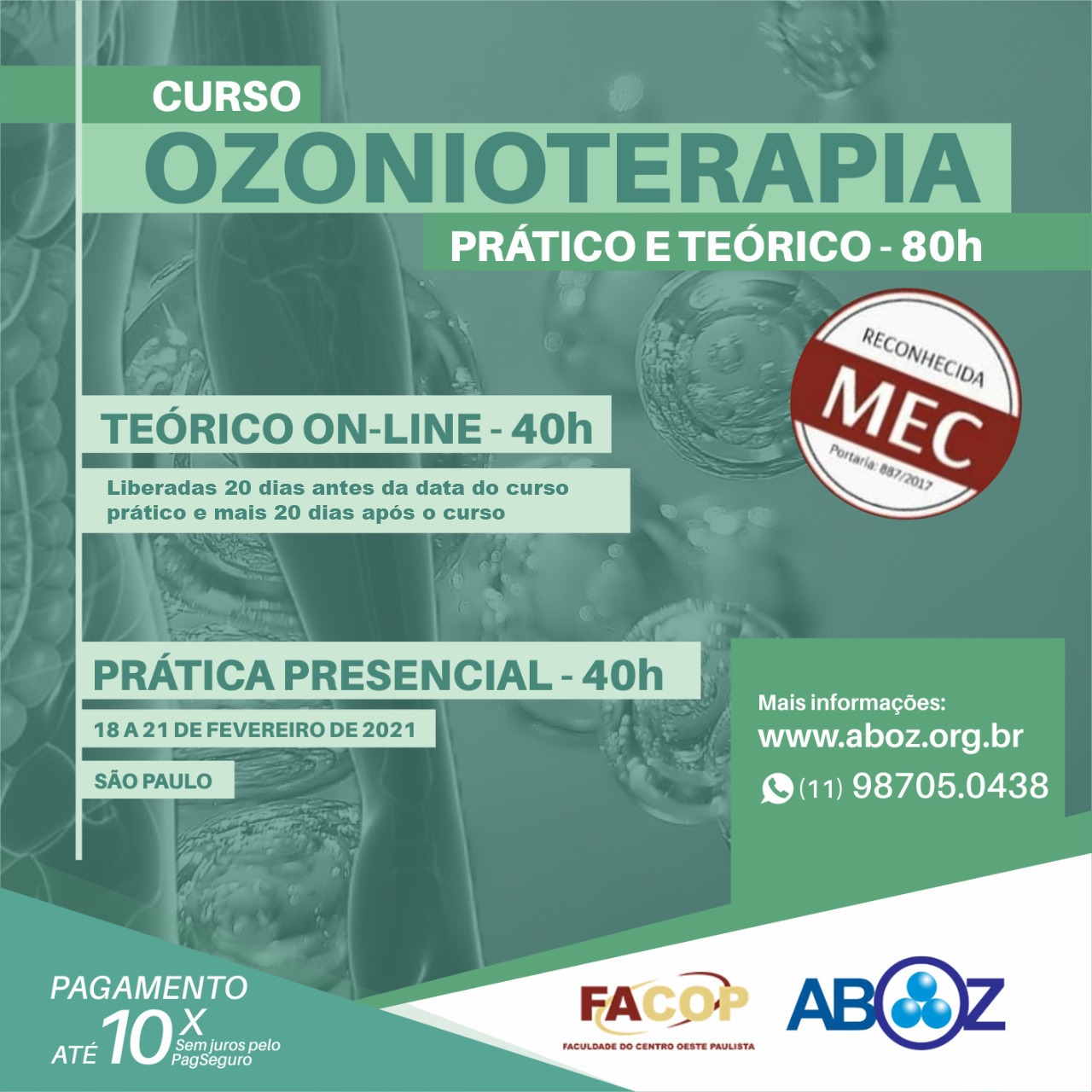 curso 80 horas gratuito com certificado online