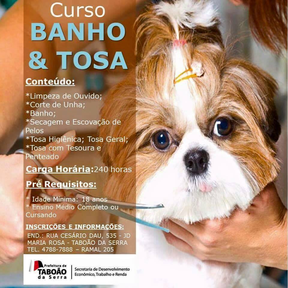 melhor curso de banho e tosa do brasil