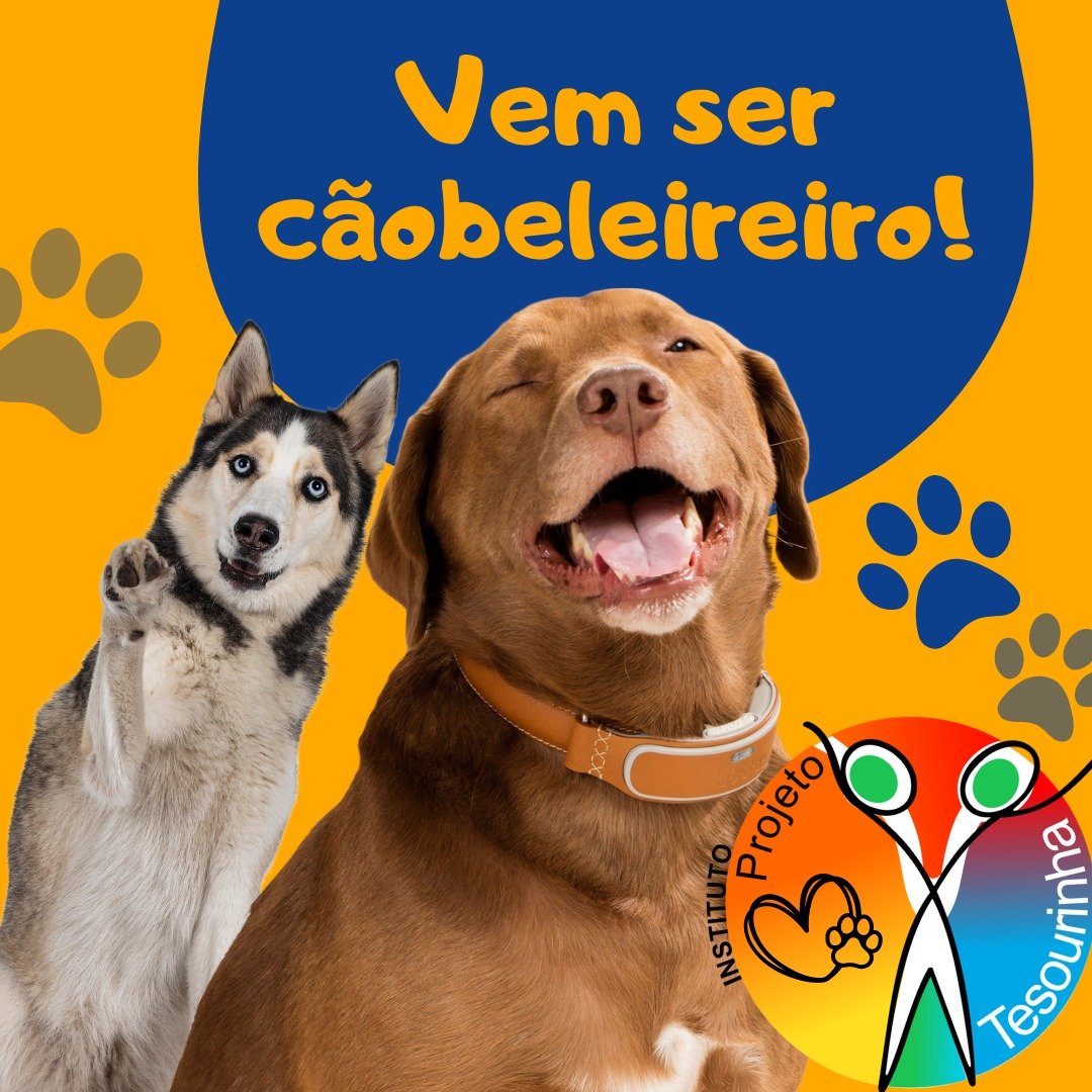 formação groomer presencial sp