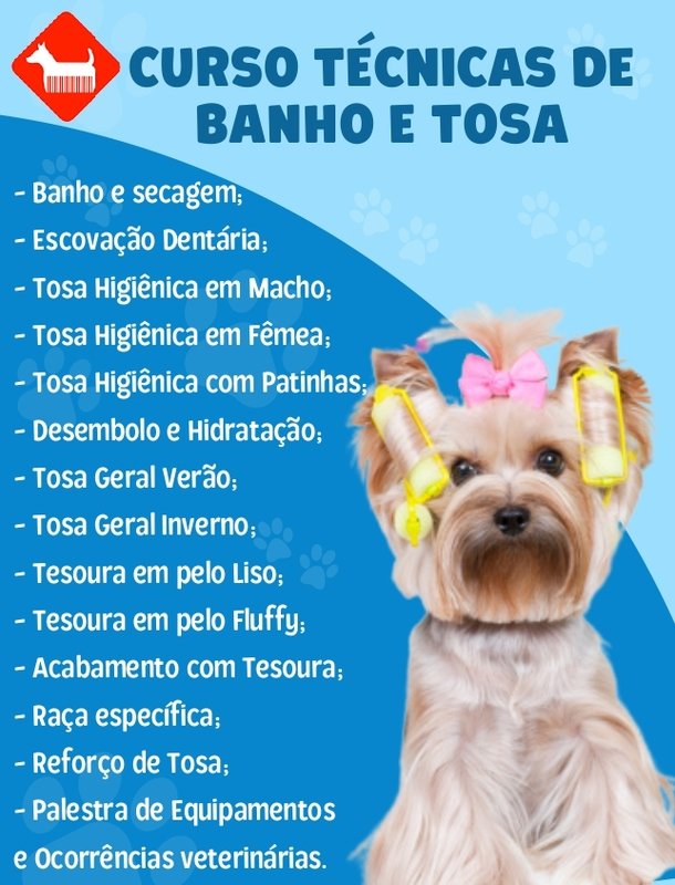 curso profissionalizante banho e tosa online