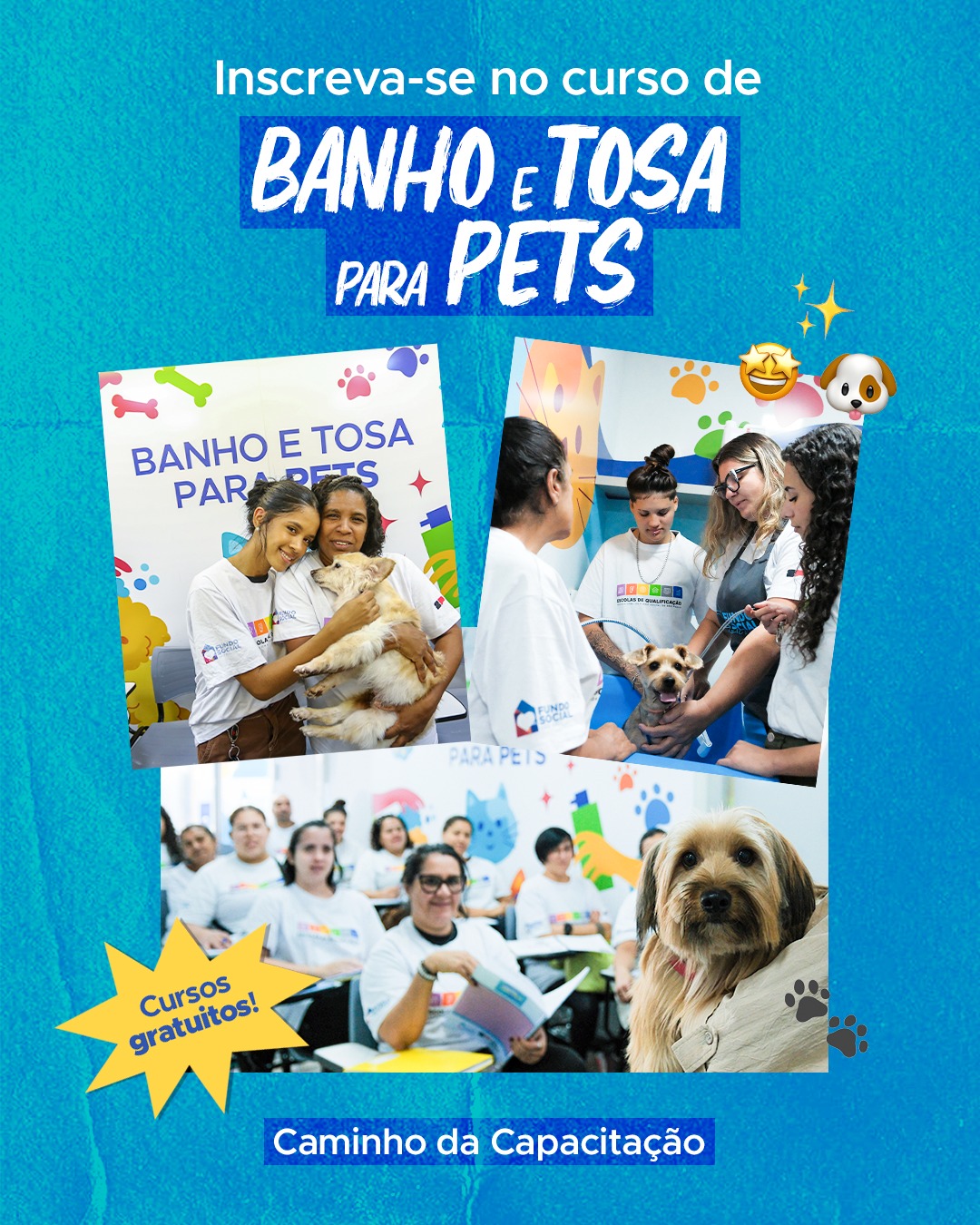 escola de estética animal preço