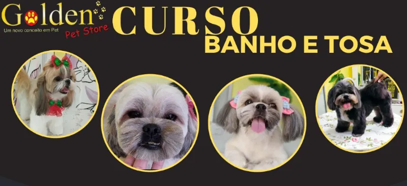 melhor curso de banho e tosa do brasil