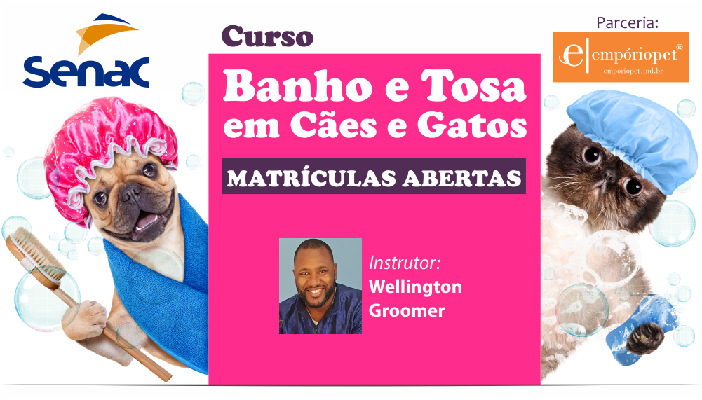 formação groomer presencial sp